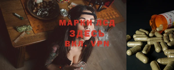 mdma Коряжма
