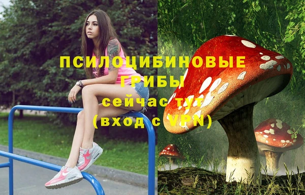 МДПВ Костерёво
