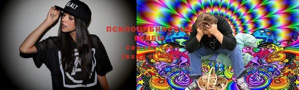 МДПВ Костерёво