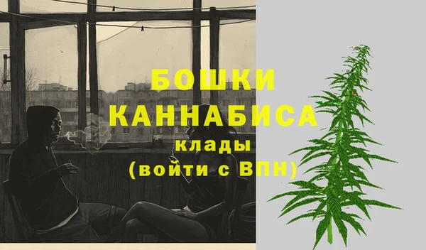 МДПВ Костерёво