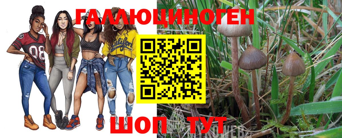 Галлюциногенные грибы MAGIC MUSHROOMS  Вход с VPN  Саратов 