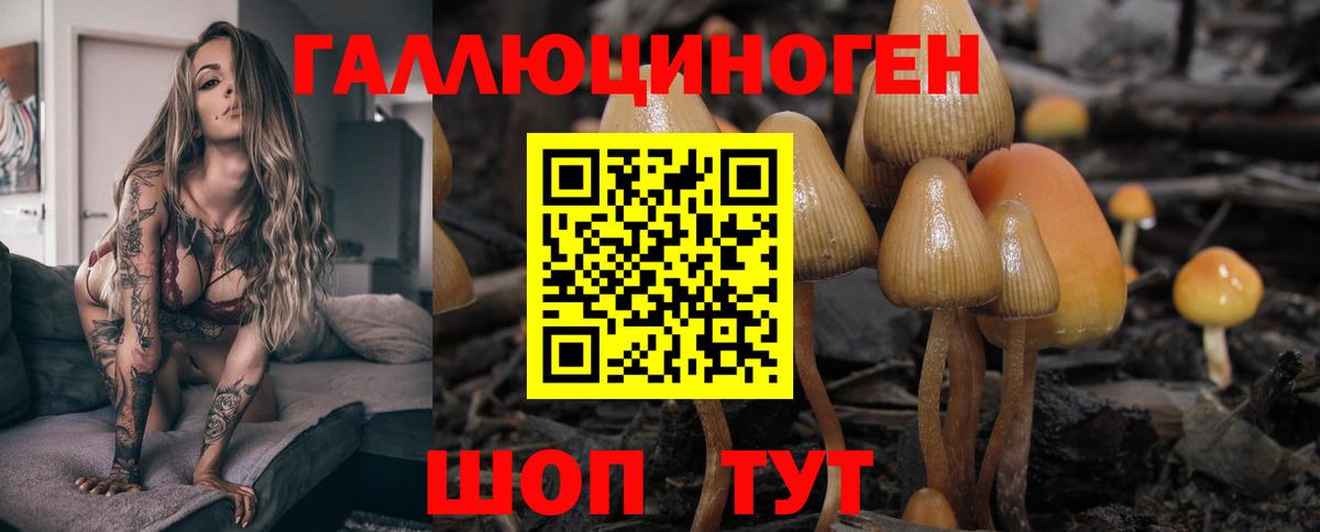 Галлюциногенные грибы мухоморы Саратов
